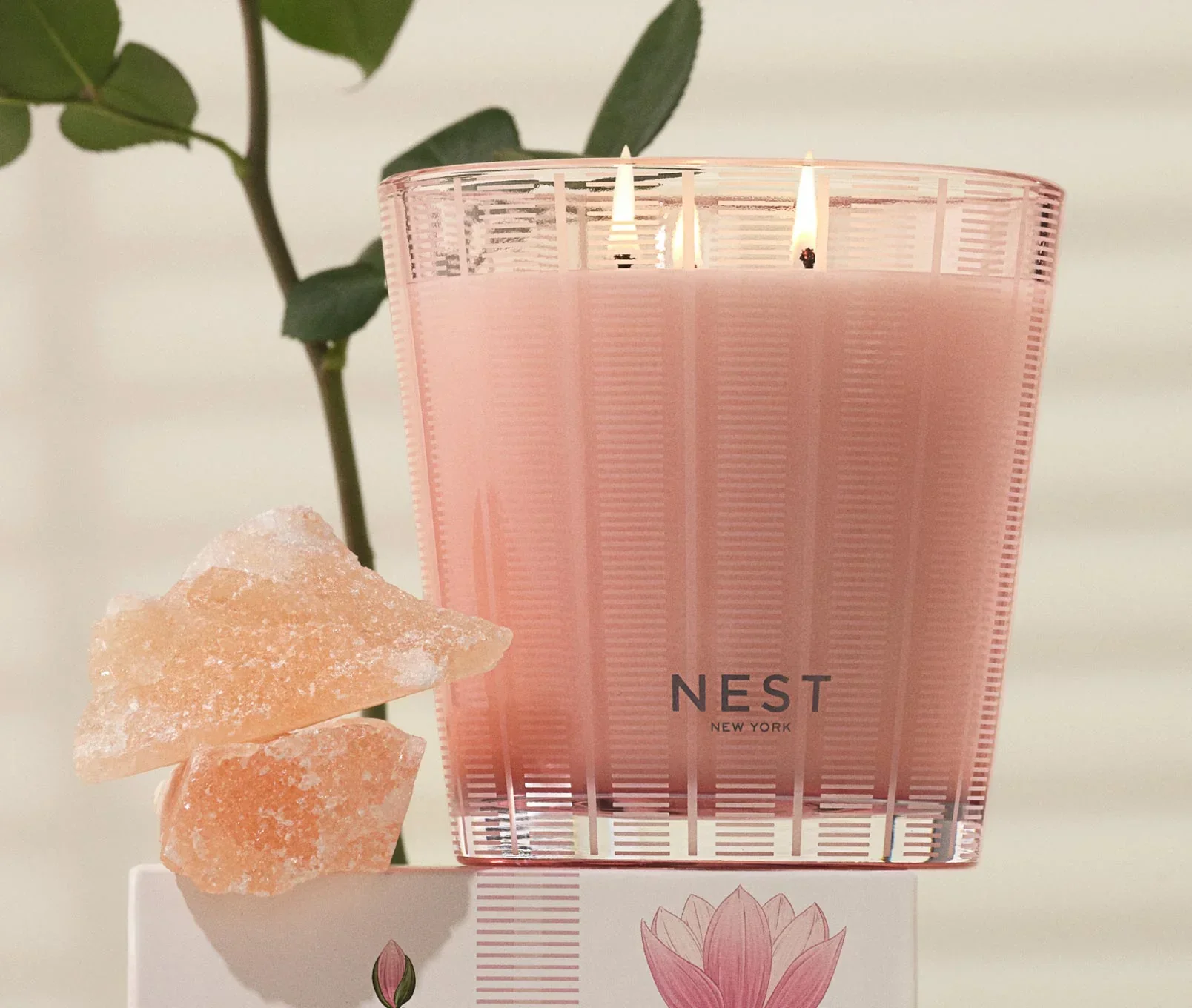 3-himalayan-salt-rosewater-3-wick-candle-2.webp Himalayan Salt & Rosewater 3-Wick Candle
