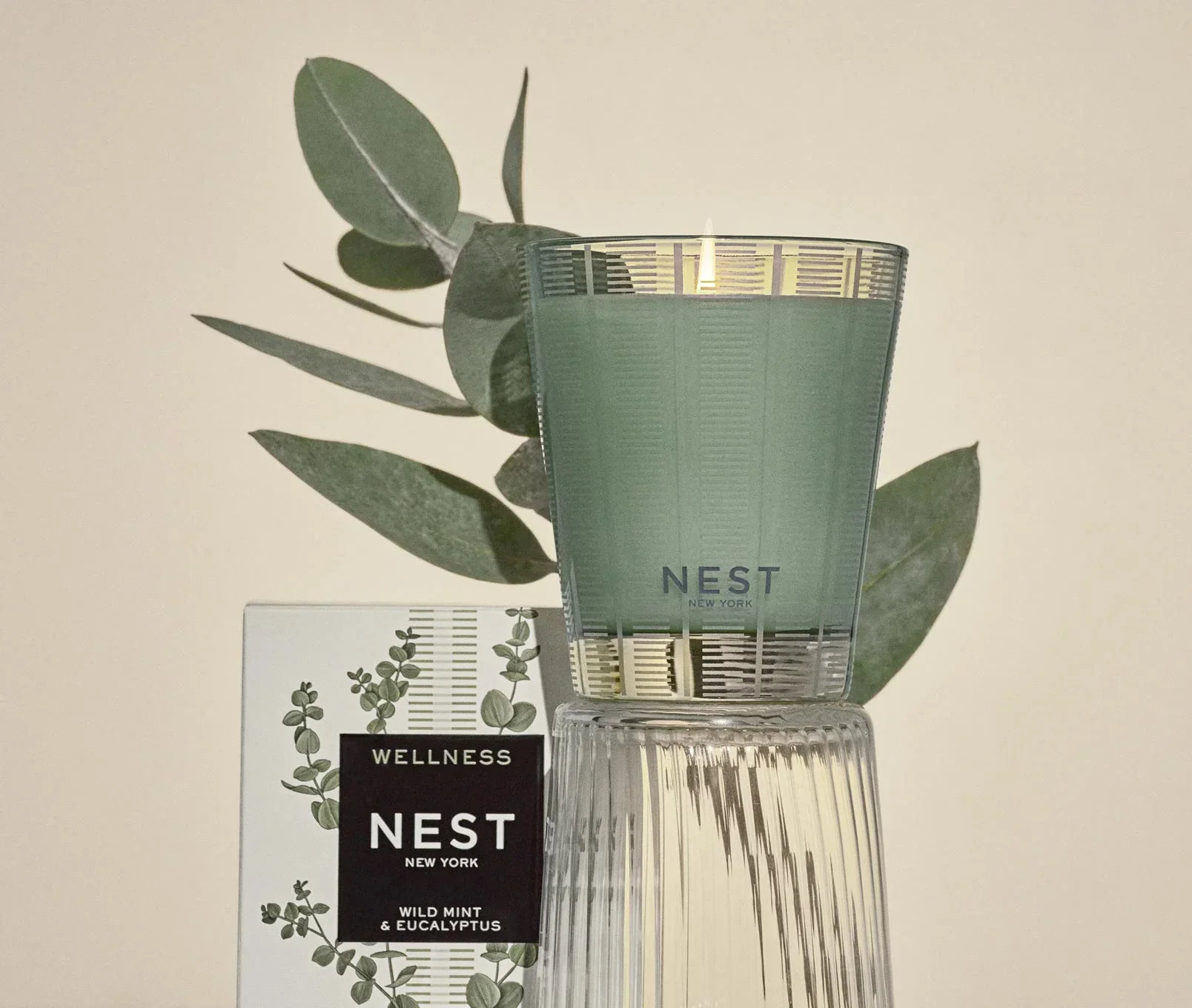 319-wild-mint-eucalyptus-classic-candle-2.webp Wild Mint & Eucalyptus Classic Candle
