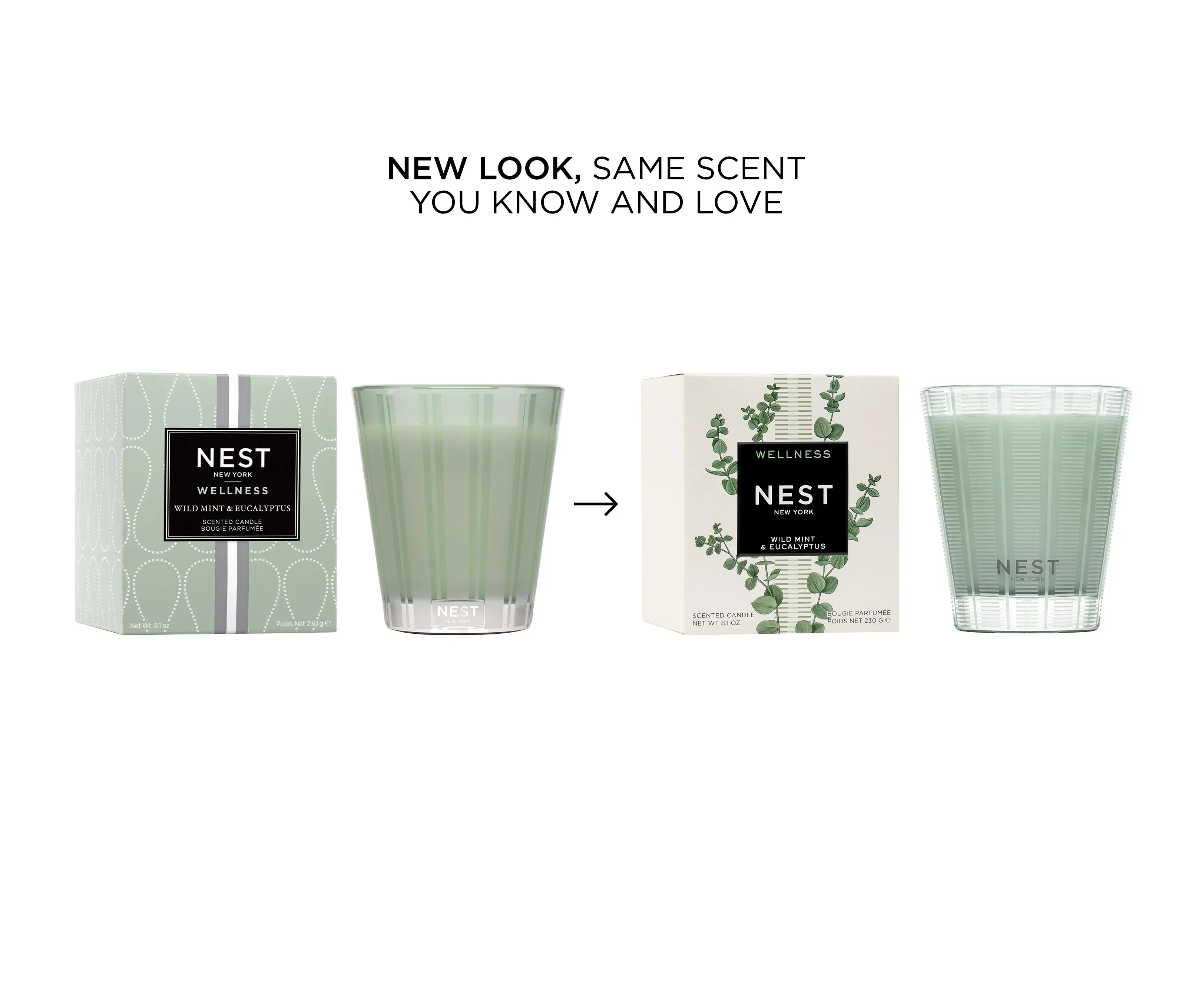 319-wild-mint-eucalyptus-classic-candle-4.webp Wild Mint & Eucalyptus Classic Candle
