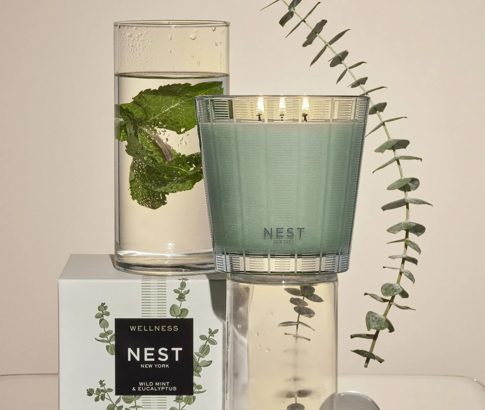 94-wild-mint-eucalyptus-3-wick-candle-2.webp Wild Mint & Eucalyptus 3-Wick Candle